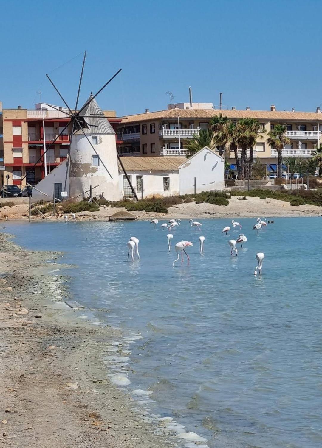 Casa Del Sol Lejlighed San Pedro del Pinatar Eksteriør billede